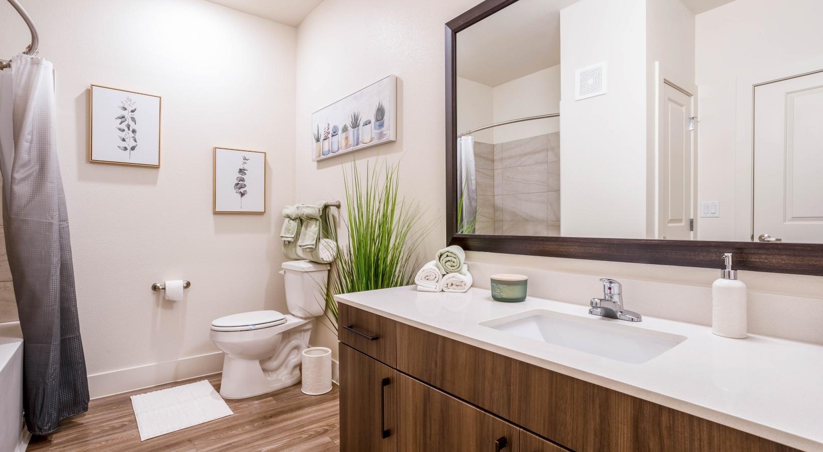 Bathroom options with thoughtful details a bathroom with a large mirror