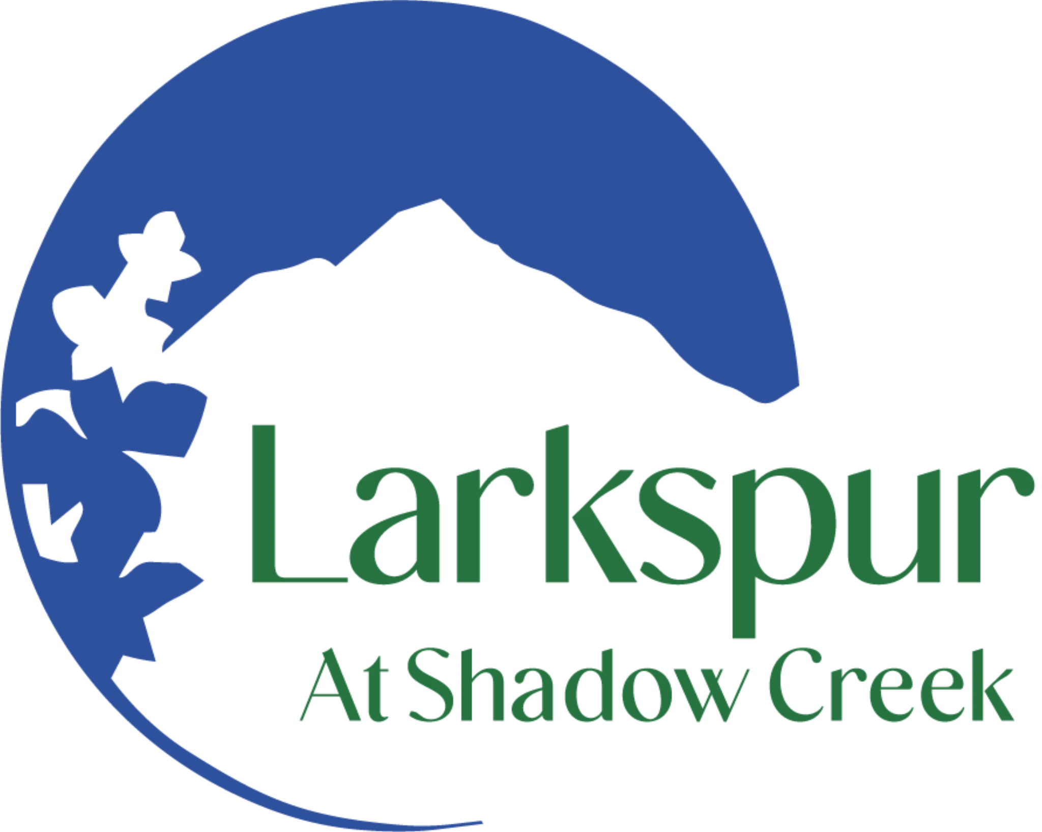 Larkspur at Shadow Creek Home